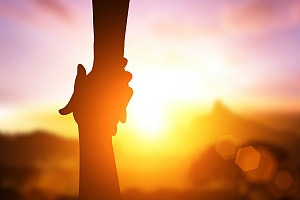 two hands reaching out for help with addiction recovery