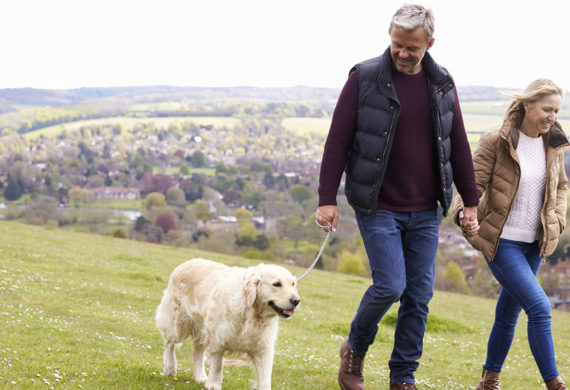 man and wife walking their dog after learning what Integrated Behavioral Model is