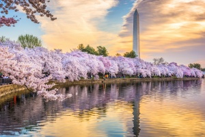 Washington dc where rehab centers in dc are located for help