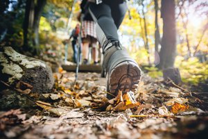 A group of women in the woods hiking