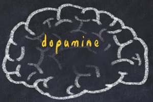 drawind of human brain on chalkboard with inscription dopamine